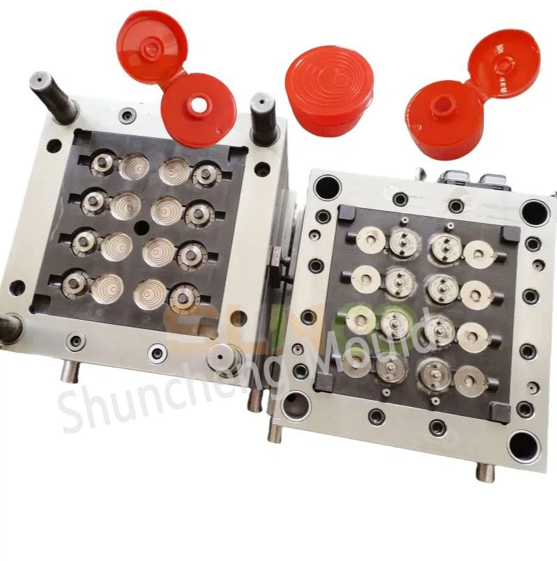 Plastic Flip Top Cap Mould