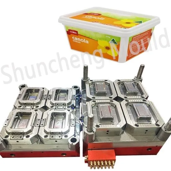 Plastic Injection Food Box Mould