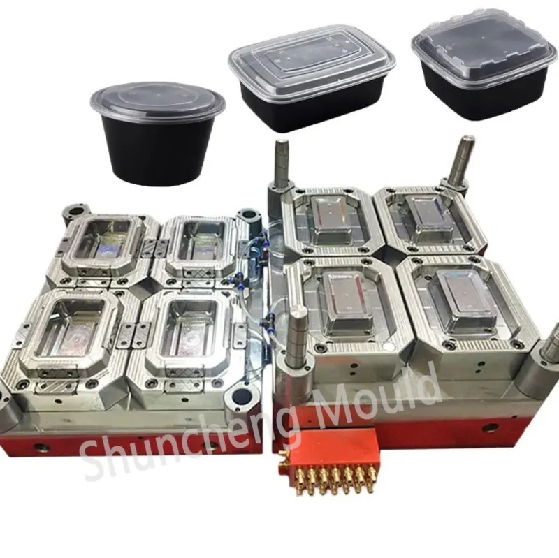 Plastic Injection Food Box Mould 2 Plastic Injection Food Box Mould 2